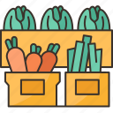 vegetable, boxes, food, harvest, stand