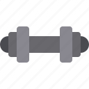 dumbbell, gym, exercise, fitness, weightlifting