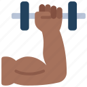 dumbbell, curl, arm, fitness, lifting, weight