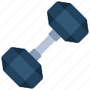 hex, dumbbell, fitness, weight, lifting