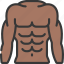 gym, man, body, fitness, abs, person 