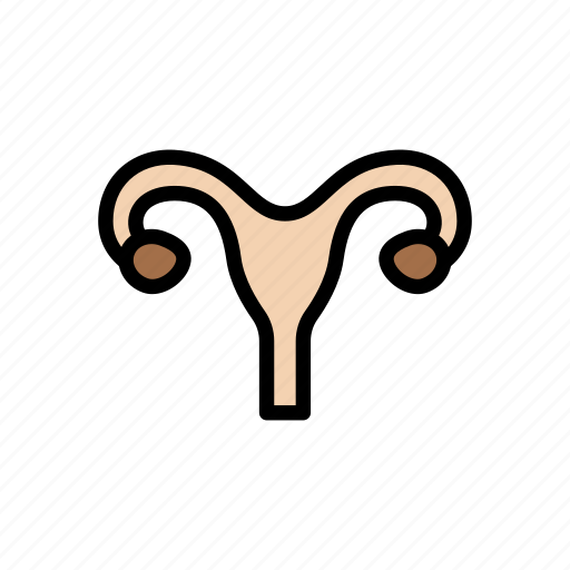 Gynecology, medical, ovary, uterus, vagina icon - Download on Iconfinder