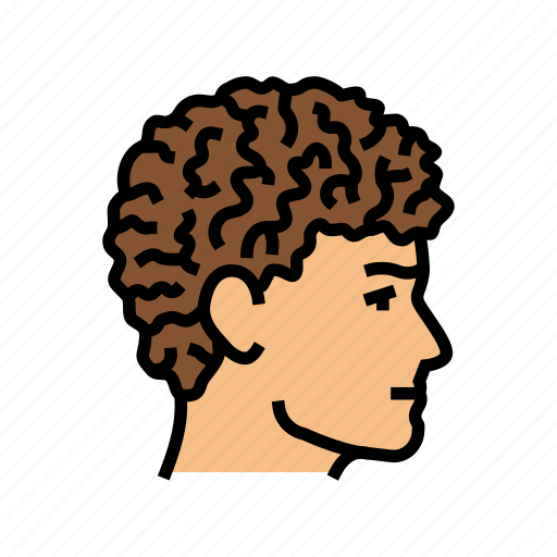 Curly, male, hairstyle, portrait, hair, fashion icon - Download on Iconfinder