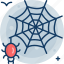 halloween, spider web, insect, crawler, spider 