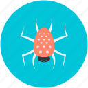 dreadful, fearful, halloween spider, scary, spider, web spider 