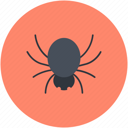 Dreadful, fearful, halloween spider, scary, spider, web spider icon - Download on Iconfinder