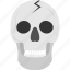 frightening object, halloween accessory, halloween cranium, human skull, skull 