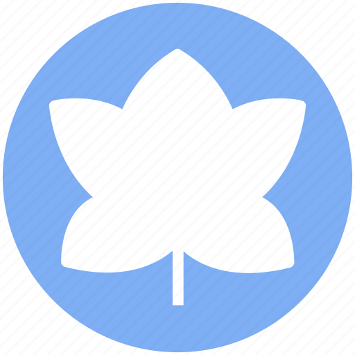 Bloom, easter, flower, halloween, leaf, religion icon - Download on Iconfinder