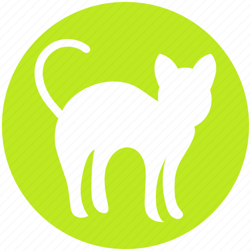 Black cat, black evil cat, dreadful, evil cat, fearful, horrible, scary icon - Download on Iconfinder