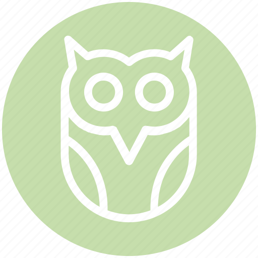 Dreadful, fearful, halloween owl, horrible, scary icon - Download on Iconfinder