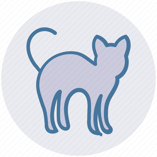 Animal, cat, danger, halloween, horror, scary icon - Download on Iconfinder