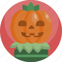 carved, cute, fall, halloween, orange, pumpkin, tradition
