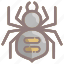 bug, creepy, halloween, insect, scary, spider, spooky 