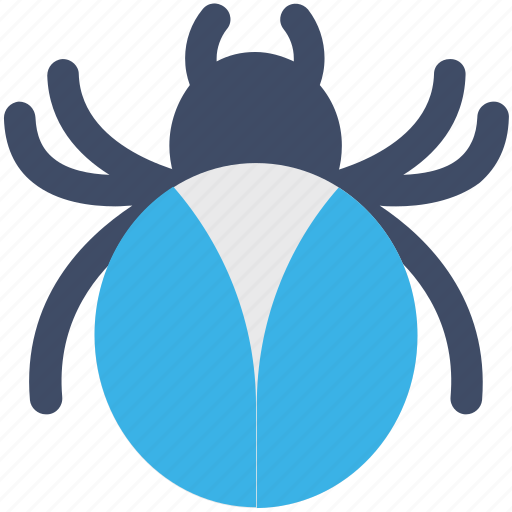 Frightening, halloween spider, scary, spider icon - Download on Iconfinder