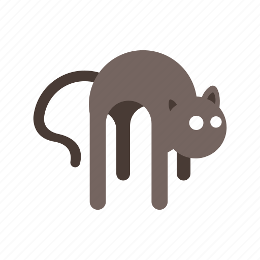 Animal, bad signs, black cat, halloween, superstitious icon - Download on Iconfinder