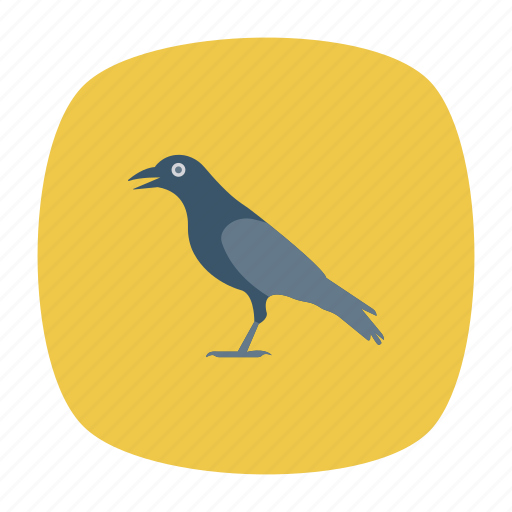 Bird, blackbird, crow, fly icon - Download on Iconfinder
