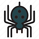 halloween, horror, scary, spider, spooky