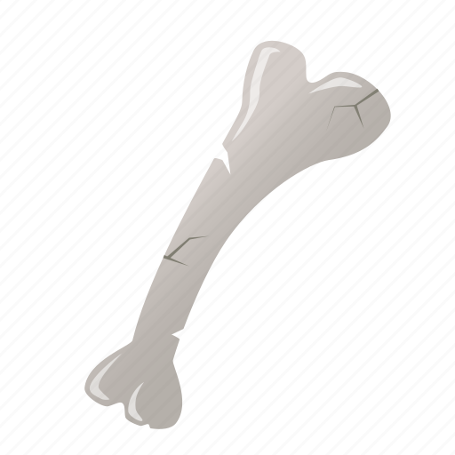 Bone, halloween, remains, skeleton icon - Download on Iconfinder