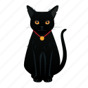 black, cat, halloween, animal