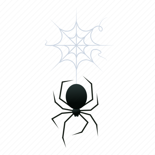 Spider, halloween, web, black widow icon - Download on Iconfinder