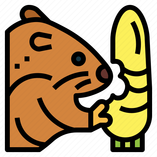 Animal, hamster, rat, carrot, rodent icon - Download on Iconfinder