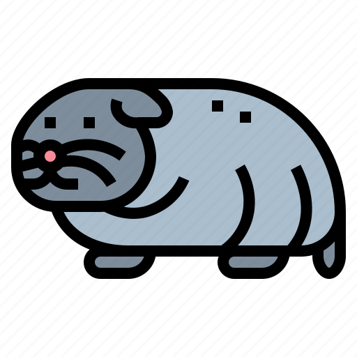 Animal, ratrodent, hamster, pet icon - Download on Iconfinder