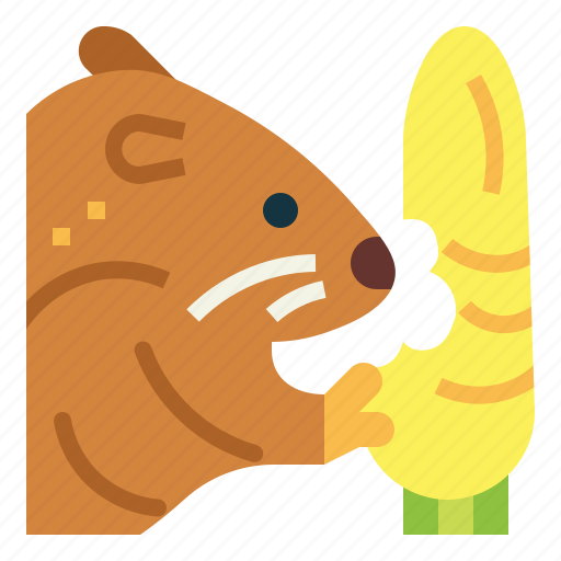 Hamster, rat, rodent, carrot, animal icon - Download on Iconfinder