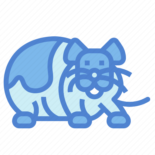 Animal, pet, rodent, hamster, rat icon - Download on Iconfinder