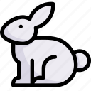 bunny, easter day, egg, happy easter, holidays, rabbit, spring season 