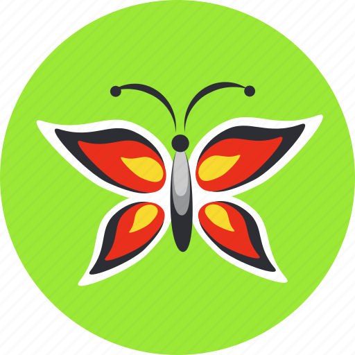 Butterfly, ecology, flower, garden, green, nature, summer icon - Download on Iconfinder