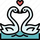 swan, couple, marriage, wedding, love, valentines, passion