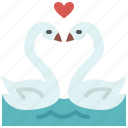 swan, couple, wedding, marriage, love, valentines, passion