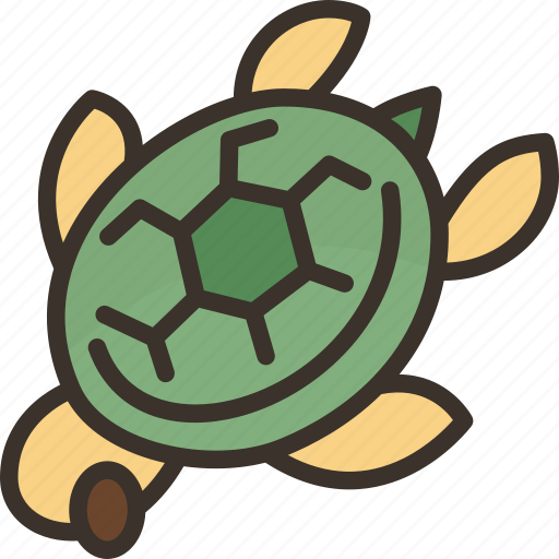 Turtle, sea, marine, animal, wildlife icon - Download on Iconfinder
