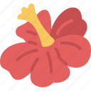 hibiscus, flower, blossom, hawaii, national