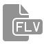 document, file, flv 