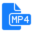 mp4, document, file 