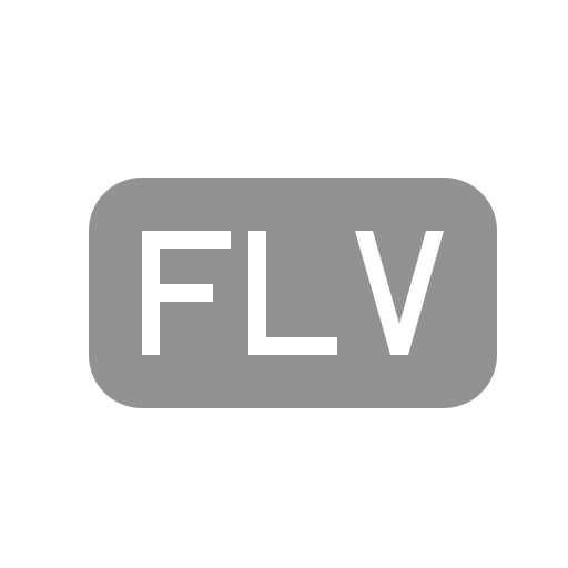 File, flv icon - Free download on Iconfinder