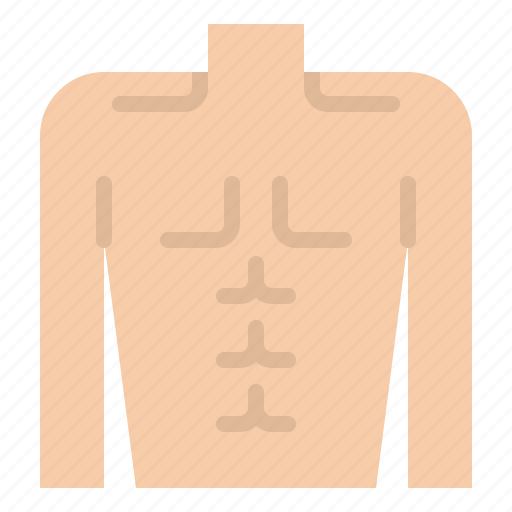 Body, chest, health, human icon - Download on Iconfinder