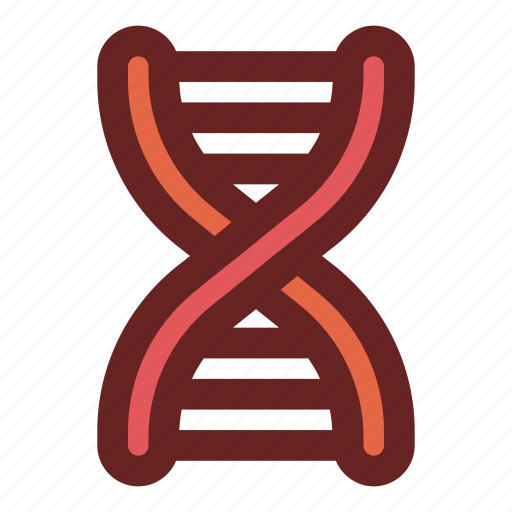 Biology, deoxyribonucleic acid, dna, dna structure, education, genetical, science icon - Download on Iconfinder