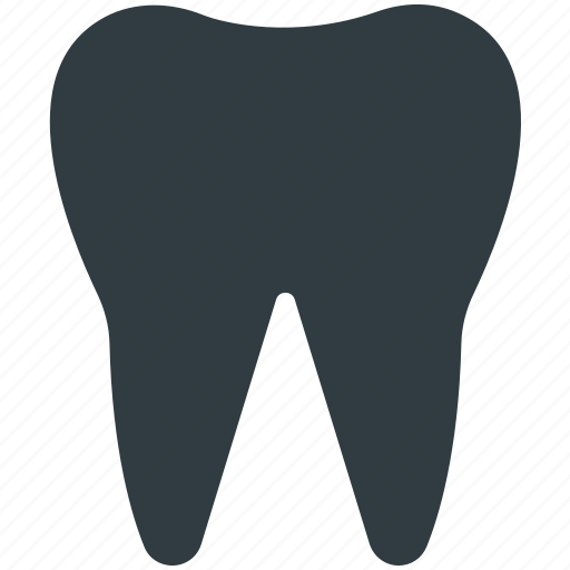 Healthy teeth, human tooth, molar, molar teeth, tooth icon - Download on Iconfinder