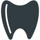 healthy teeth, human tooth, molar, molar teeth, tooth 