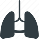 anatomy, breathe, human lungs, lungs, pulmonology 