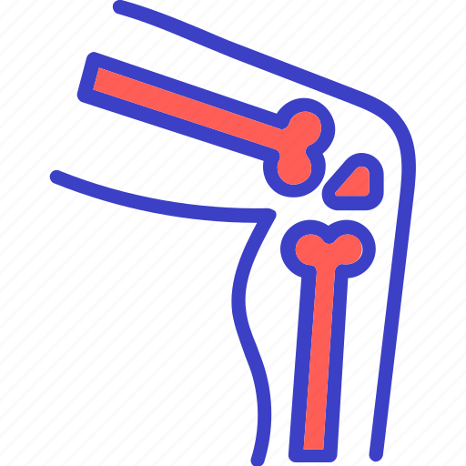 Joint, bone, knee, leg, pain icon - Download on Iconfinder