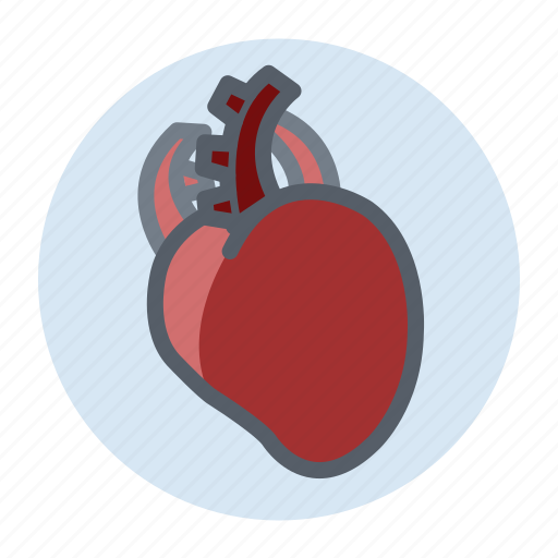 Heart, healthcare, medical, treatment icon - Download on Iconfinder