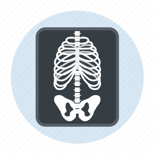 Bones, xray, care, healthcare, hospital icon - Download on Iconfinder