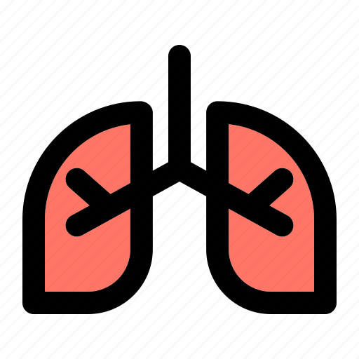 Lungs, thorax, anatomy, breath, organ, physiology, body icon - Download on Iconfinder