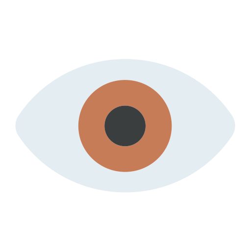 Eyes, eye, vision, organ, ophthalmology, optical, view icon - Free download