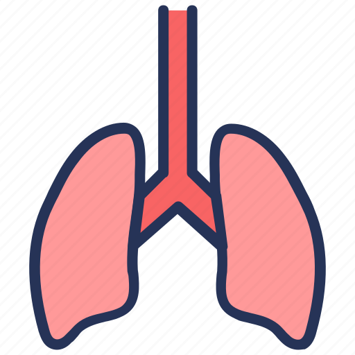 Breathing, color, hospital, lungs, medical, organ, respiration icon - Download on Iconfinder