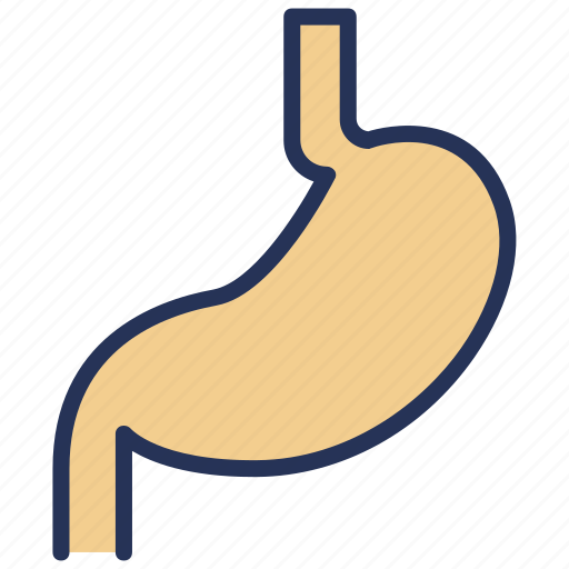Digestion, healthcare, hospital, medical, organ, stomach icon - Download on Iconfinder