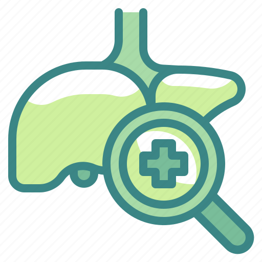 Liver, hepatitis, anatomy, organ, checkup icon - Download on Iconfinder